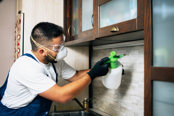 Best Pest Control Near Me  in Norwood, OK