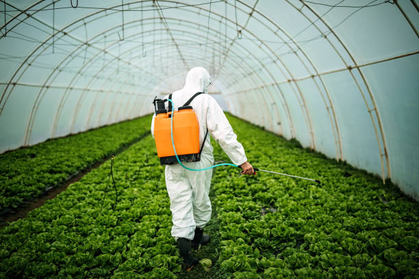 Best Pest Control for Businesses  in Norwood, OK
