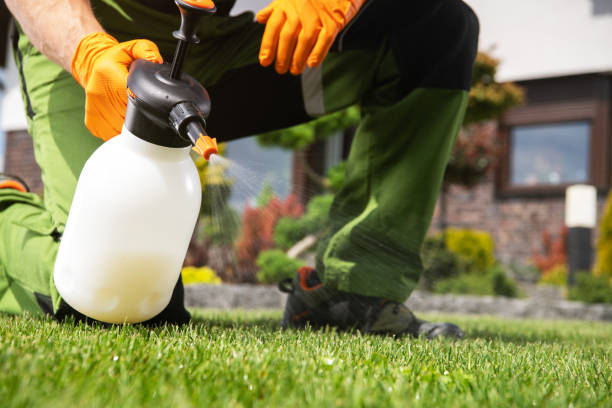 Pest Prevention Services in Norwood, OK