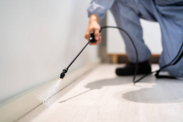 Professional Pest Control in Norwood, OK