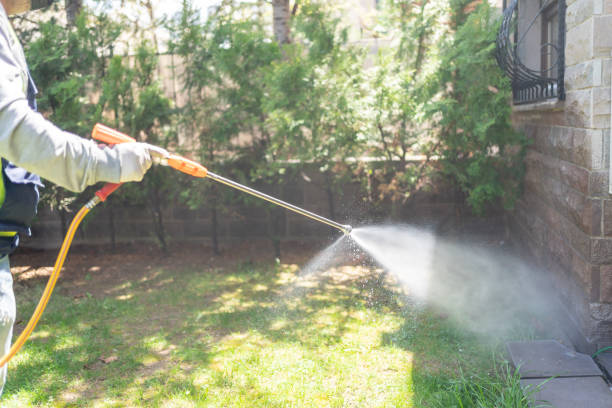 Best Exterminator Services  in Norwood, OK