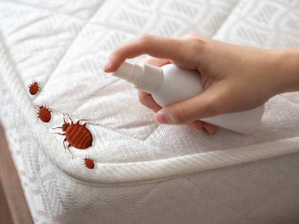 Flea Control Services in Norwood, OK