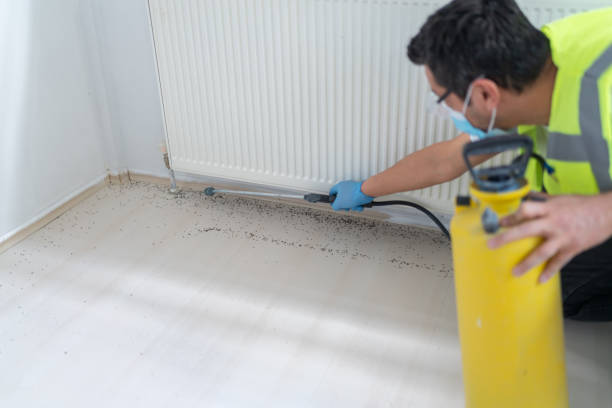 Best Residential Pest Control  in Norwood, OK