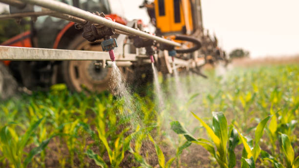 Pest Control Cost in Norwood, OK